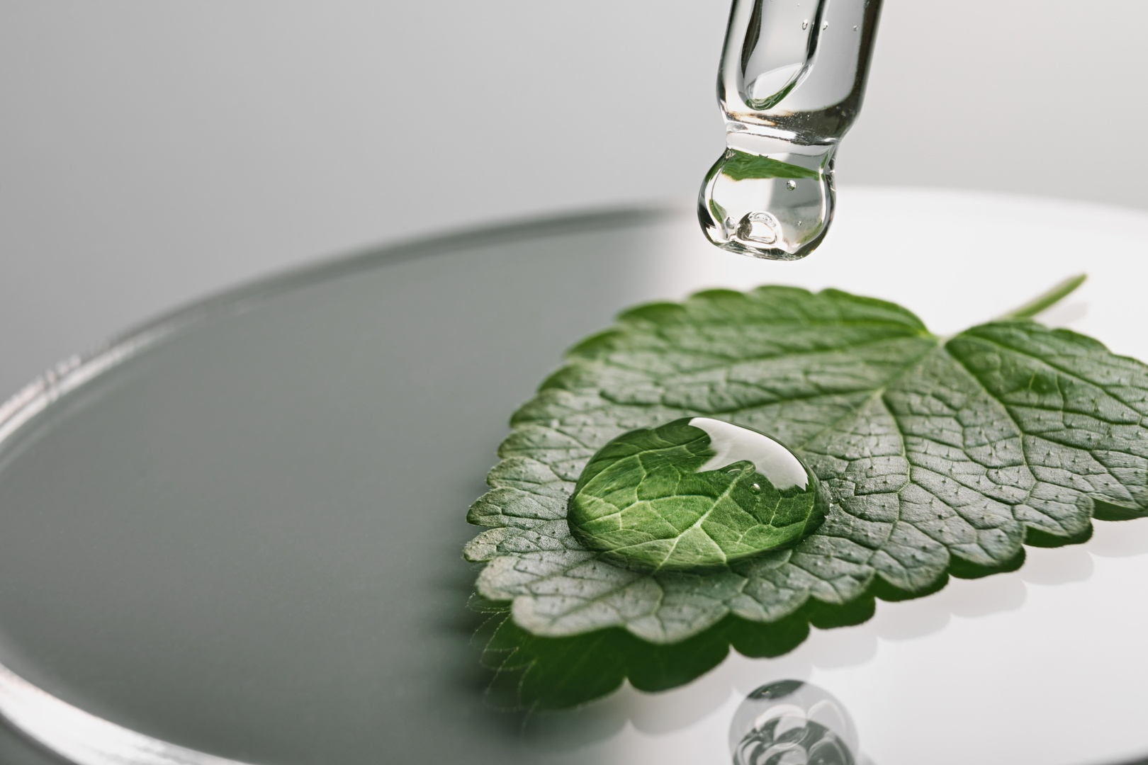 Close-up image of a dropper releasing liquid onto a green leaf, symbolizing health, natural solutions, and Cleartide's focus on reducing plastic hazards.