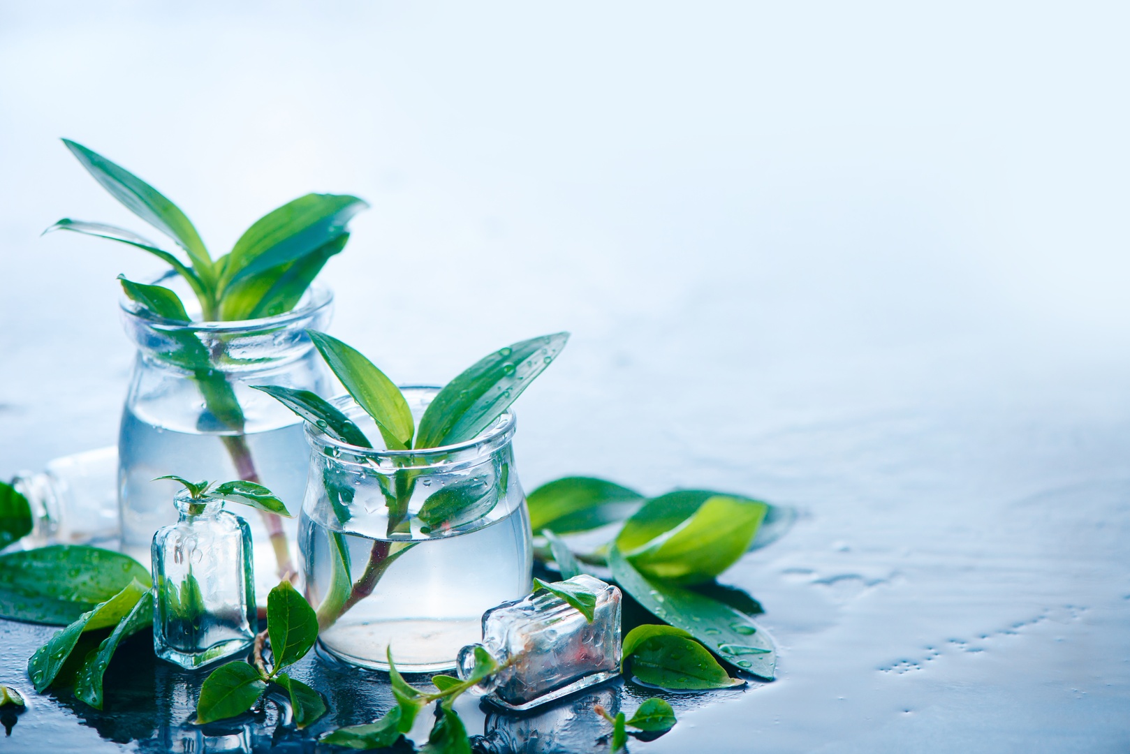 Glass containers filled with water and green leaves, symbolizing sustainability and Cleartide's eco-friendly approach to reducing plastic waste.